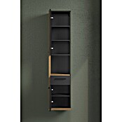 Trendteam Synnax Hochschrank (35 x 31 x 157 cm, Coast Evoke Eiche/Anthrazit, Anschlag: Links) | BAUHAUS