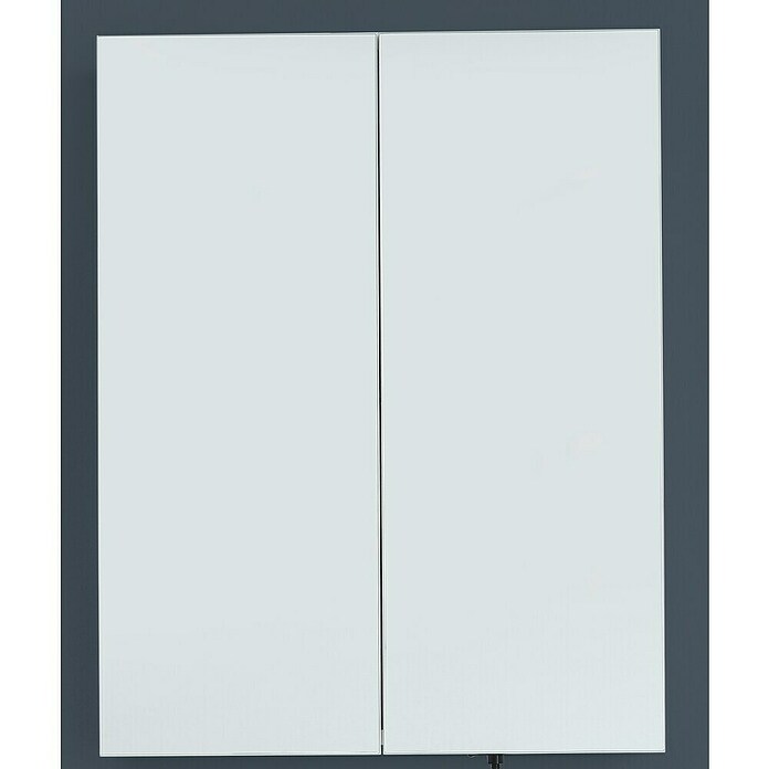 Trendteam Skin Spiegelschrank (B x H: 60 x 67 cm, Ohne Beleuchtung, Holz, Weiß) | BAUHAUS