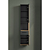 Trendteam Synnax Hochschrank (35 x 31 x 157 cm, Coast Evoke Eiche/Anthrazit, Anschlag: Rechts) | BAUHAUS