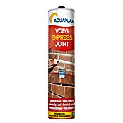 Aquaplan Voegmortel VOEG EXPRESS JOINT (0,31 l) | BAUHAUS
