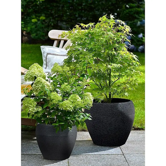 Scheurich Lineo Pflanztopf - Außenmaß (Ø x H): 48 x 39 cm, Kunststoff, Schwarz - Zwei stilvolle, dunkle Pflanzgefäße mit üppigen Pflanzen. Perfekt für Terrasse oder Garten und bieten eine moderne Optik.