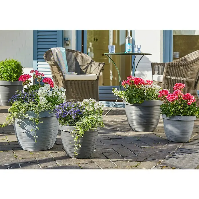 Scheurich Country Star Pflanztopf - Außenmaß (Ø x H): 25 x 18,6 cm, Kunststoff, Grau - Nahaufnahme von bunten Blumen, die in dekorativen grauen Pflanzgefäßen auf einer Steinterrasse blühen und eine gemütliche Gartenszene schaffen.