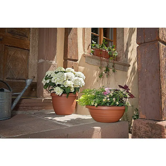 Scheurich Country Star Pflanztopf - Außenmaß (Ø x H): 25 x 18,6 cm, Kunststoff, Terracotta - Dekorative Blumentöpfe mit üppigen Pflanzen auf einer rustikalen Steintreppe, die eine einladende und natürliche Atmosphäre schaffen.