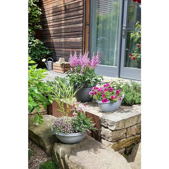 Scheurich Country Star Pflanzschale rund - Außenmaß (Ø x H): 39 x 14,7 cm, Kunststoff, Granite grey - Eine Nahaufnahme von dekorativen Pflanzgefäßen mit bunten Blumen auf einer Steinterrasse vor einem modernen Haus.