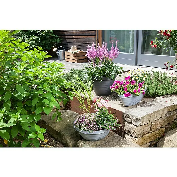 Scheurich Country Star Pflanzschale rund - Außenmaß (Ø x H): 39 x 14,7 cm, Kunststoff, Granite grey - Ein Garten mit blühenden Pflanzen in Töpfen, die auf einer Steinmauer stehen, mit einer Holzhütte im Hintergrund.
