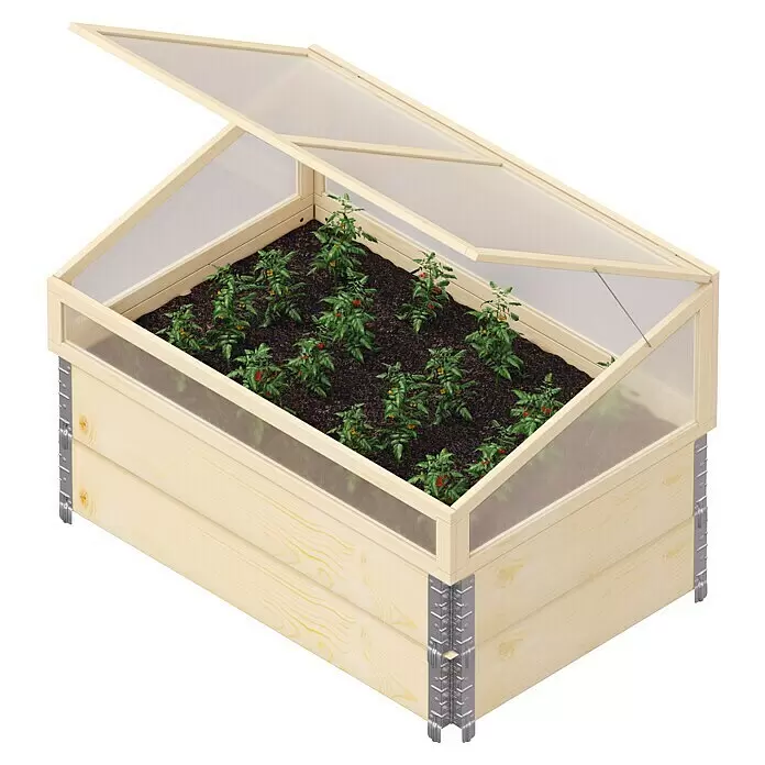 Gardol Hochbeet Set - 120 x 80 x 60 cm, Holz, Braun - Hellholz-Hochbeet mit geöffnetem transparentem Frühbeetaufsatz, in dem kleine grüne Pflanzen in dunkler Erde wachsen.