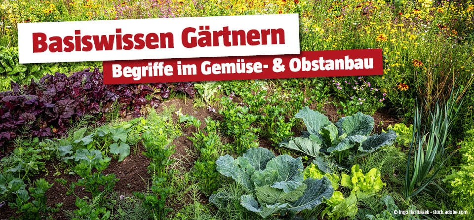 Basiswissen Garten