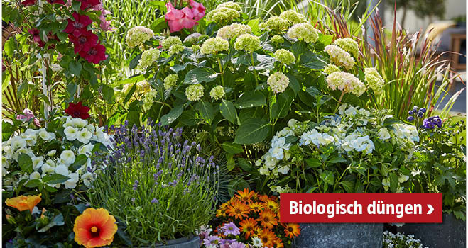 Biologisch düngen