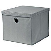 Dolle Kutija za pohranu (D x Š x V: 385 x 360 x 320 mm, Polipropilen, Siva)