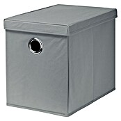 Dolle Kutija za pohranu (D x Š x V: 385 x 260 x 320 mm, Polipropilen, Siva)
