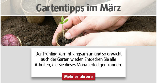 Gartentipps März