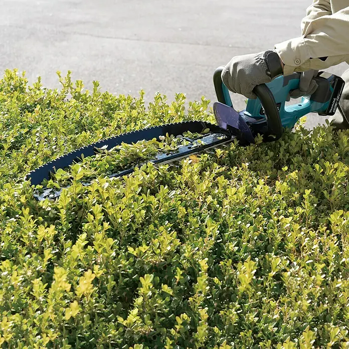 Makita LXT 18V Akku-Heckenschere DUH507RF - 18 V, Li-Ionen, 1 Akku, Schnittlänge: 500 cm - Eine Makita Akku-Heckenschere schneidet eine grüne Hecke. Ideal für den Garten, um Sträucher und Büsche in Form zu bringen.