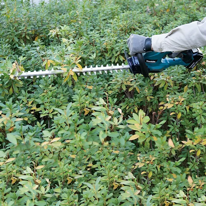 Makita LXT 18V Akku-Heckenschere DUH507RF - 18 V, Li-Ionen, 1 Akku, Schnittlänge: 500 cm - Bild einer Makita Akku-Heckenschere im Einsatz, umgeben von dichtem Grün. Das Werkzeug schneidet präzise durch die Äste.