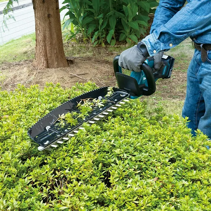 Makita LXT 18V Akku-Heckenschere DUH506Z - 18 V, Li-Ionen, Ohne Akku, Schnittlänge: 50 cm - Nahaufnahme einer Akku-Heckenschere beim Schneiden einer Hecke. Das Gerät ist blaugrün und schwarz und hat eine lange Klinge.