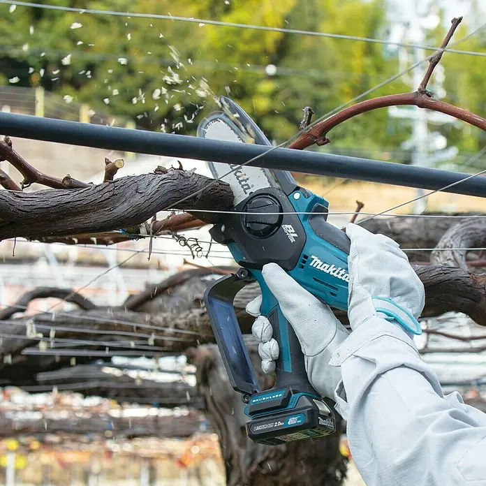 Makita CXT 12V max. Akku-Astsäge UC100DZ - Li-Ionen, Ohne Akku, Schwertlänge: 12 cm - Die akkubetriebene Makita Astschere schneidet Äste im Weinberg, mit Handschuhen für sicheres und effizientes Arbeiten.