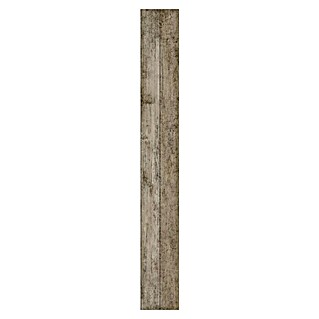 Bariperfil Revestimiento de pared de PVC (260 x 33,3 cm, Floral Wood)
