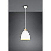 Reality Leuchten Lámpara colgante Jagger (40 W, Ø x Al: 25 x 150 cm, Blanco, E27) | BAUHAUS