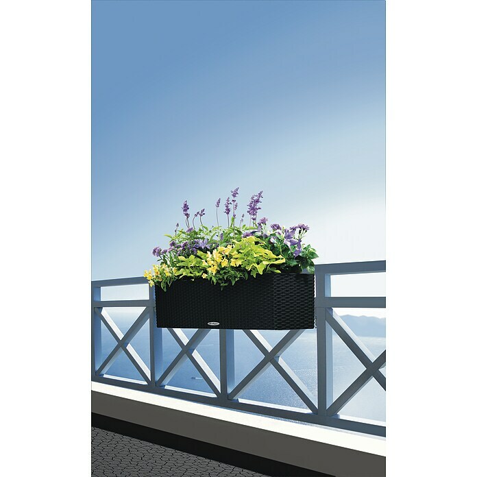 Lechuza Cottage Balkonkasten Balconera (Max. Außenlänge: 80 cm, Schwarz) | BAUHAUS