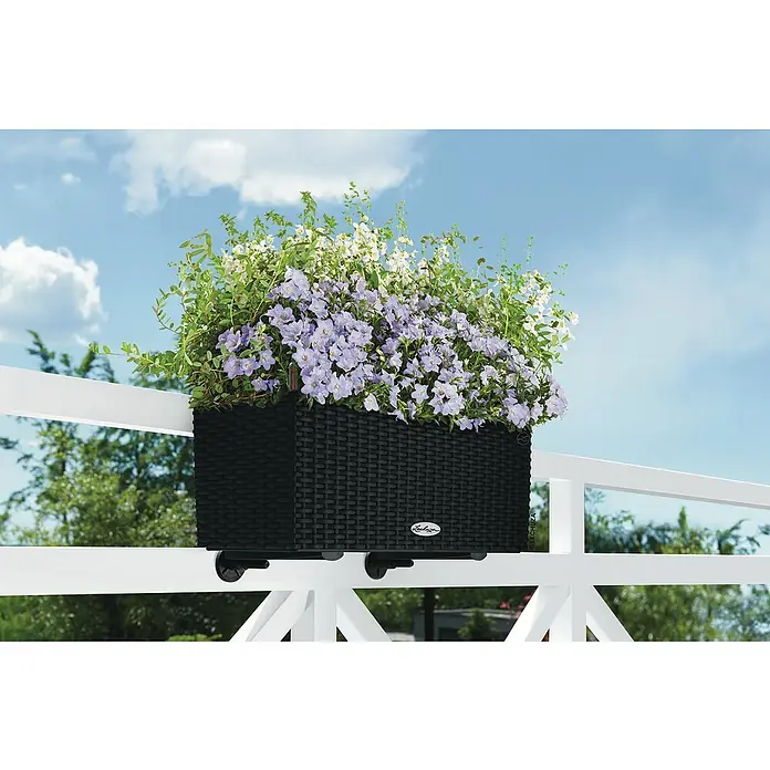 Lechuza Cottage Balkonkasten Balconera - Max. Außenlänge: 50 cm, Kunststoff, Schwarz - Ein Lechuza Balkonkasten in Schwarz hängt an einem weißen Geländer, gefüllt mit lila und weißen Blüten, vor einem blauen Himmel.