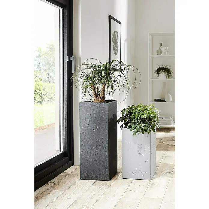 Scheurich Pflanzsäule eckig C-Cube - Außenmaß (L x B x H): 26 x 26 x 69,8 cm, Kunststoff, Schwarz - Zwei moderne Pflanzkübel in Grau und Weiß mit Pflanzen, die eine stilvolle Inneneinrichtung ergänzen und das Ambiente aufwerten.