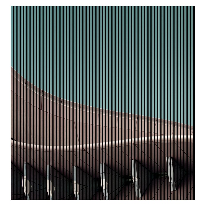 Akustikpaneel (L x B x H: 2 400 x 2 253 x 19 mm, Grün/Braun, Architecture 01) | BAUHAUS