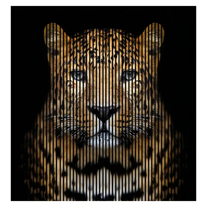 Akustikpaneel - L x B x H: 2.400 x 2.253 x 19 mm, Schwarz/Braun, Leo 1 - Stilvolles Leoparden-Poster mit vertikalen Streifen, die das Tier hervorheben. Eine moderne Wanddekoration, die in jedem Raum zum Blickfang wird.\n
