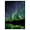 Akustikpaneel (L x B x H: 2 400 x 1 693 x 19 mm, Violett/Grün/Schwarz, Aurora 01) | BAUHAUS