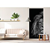 Akustikpaneel (L x B x H: 2 400 x 1 133 x 19 mm, Schwarz/Weiß, Löwe 01) | BAUHAUS