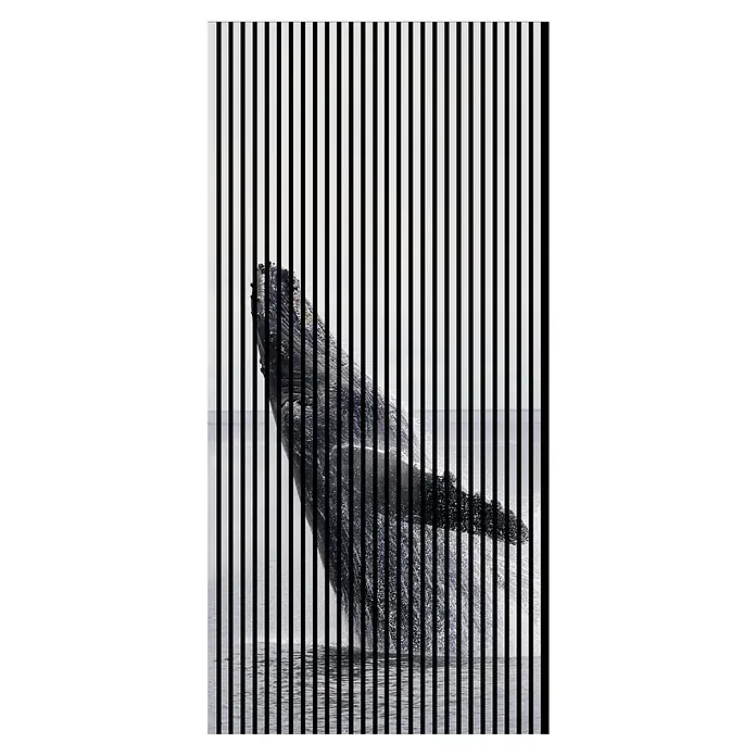 Akustikpaneel - L x B x H: 2.400 x 1.133 x 19 mm, Schwarz/Weiss, Wal 02 - Illusionsstarkes Bild eines springenden Wals, durch vertikale Streifen ein faszinierendes optisches Erlebnis. Dynamik und künstlerische Darstellung vereint.