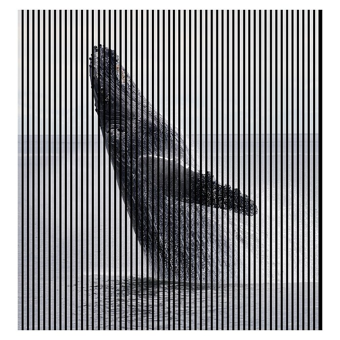 Akustikpaneel (L x B x H: 2 400 x 2 253 x 19 mm, Blau/Schwarz, Wal 02) | BAUHAUS
