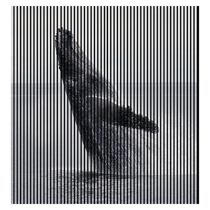 Akustikpaneel - L x B x H: 2.400 x 2.253 x 19 mm, Blau/Schwarz, Wal 02 - Optische Täuschung mit senkrechten Streifen, die ein beeindruckendes Bild eines Wals im Wasser enthüllen.