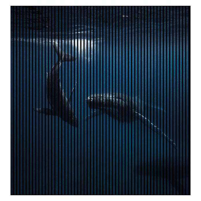 Akustikpaneel (L x B x H: 2 400 x 2 253 x 19 mm, Blau/Schwarz, Wal 01) | BAUHAUS