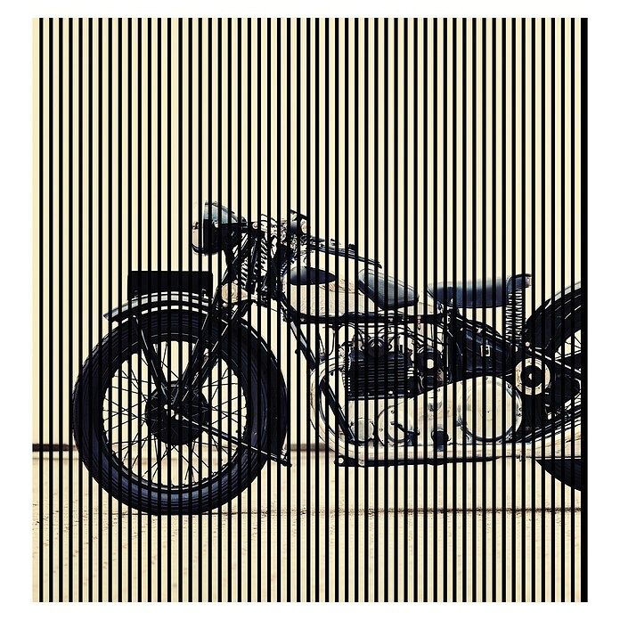 Akustikpaneel (L x B x H: 2 400 x 2 253 x 19 mm, Schwarz/Weiß, Motorrad 01) | BAUHAUS