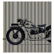 Akustikpaneel (L x B x H: 2 400 x 2 253 x 19 mm, Schwarz/Weiß, Motorrad 01) | BAUHAUS
