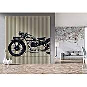 Akustikpaneel (L x B x H: 2 400 x 2 253 x 19 mm, Schwarz/Weiß, Motorrad 01) | BAUHAUS