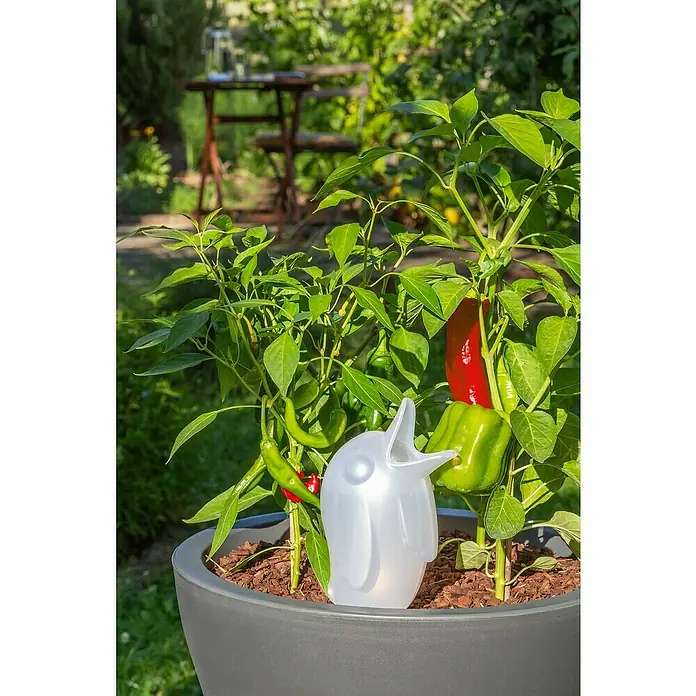 Scheurich Wasserspender Bördy XL - 620 ml, Champagner - Ein mit Paprika bepflanzter Topf mit einem Wasserspender in Pinguinform sorgt für Bewässerung und bietet eine dekorative Note im Garten.