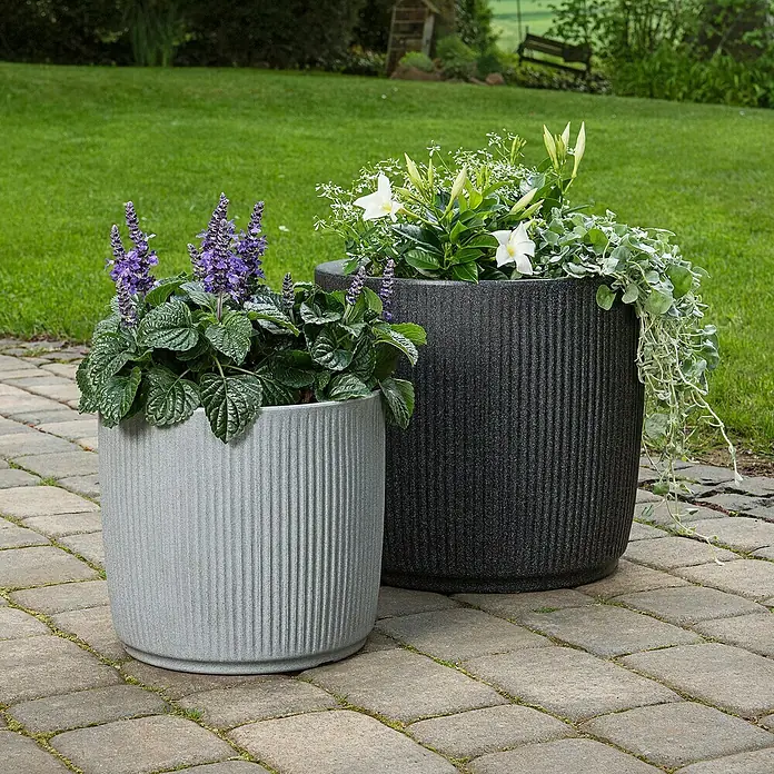 Scheurich Pflanzkübel rund Linetto - Außenmaß (Ø x H): 38,6 x 35,2 cm, Kunststoff, Stony Grey - Zwei strukturierte Pflanzgefäße in Grau- und Anthrazittönen, bepflanzt mit üppigen Blumen, zieren einen gepflasterten Gartenweg.