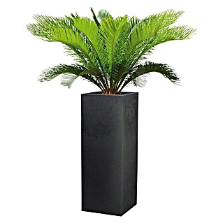 Scheurich Oglati stebrasti cvetlični lonec C-Cube (Zunanje dimenzije (Do x Š x V): 26 x 26 x 69,8 cm, Plastika, Črna)