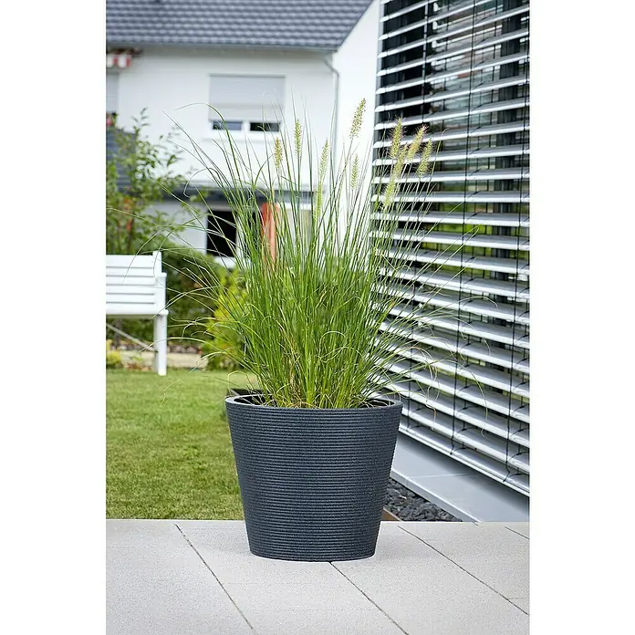 Scheurich Pflanztopf Coneo - Außenmaß (Ø x H): 28 x 24,3 cm, Kunststoff, Schwarz granit - Großer schwarzer Pflanzkübel mit Ziergras, der auf einer Terrasse steht und eine elegante Note in den Außenbereich bringt.
