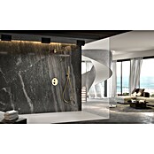 Imex Génova Sistema de ducha empotrado (Cartucho del termostato, Oro) | BAUHAUS