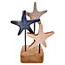 Figura decorativa Estrella de Mar 