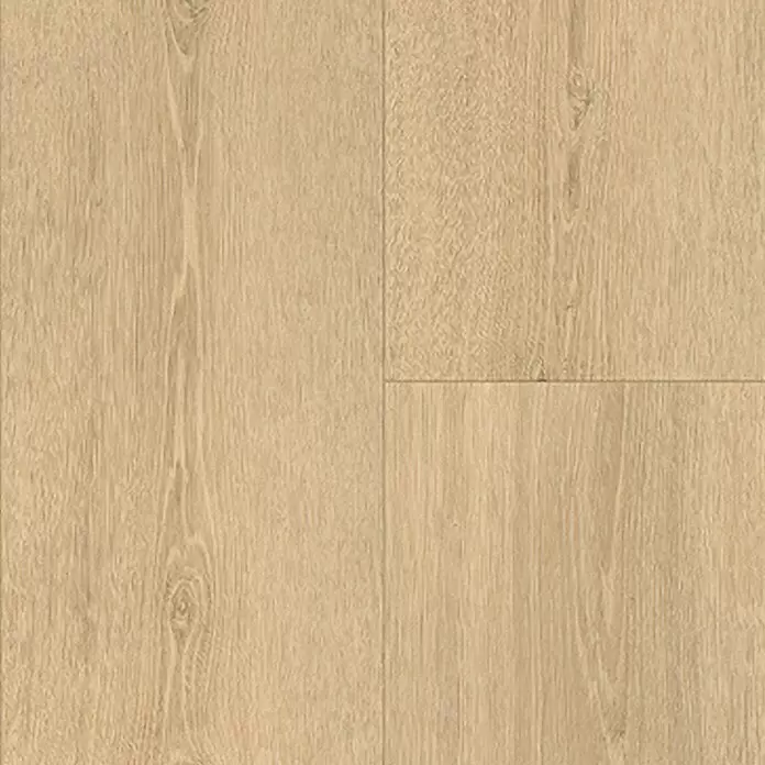 Parador Vinylboden Basic 5.3 - Eiche Studioline geschliffen, Landhausdiele, 1.209 x 225 x 5,3 mm - Helle Holzoptik-Bodenplanken mit natürlicher Maserung.
