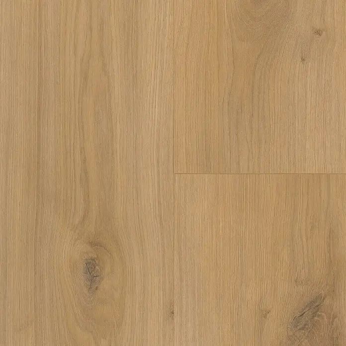 Parador Laminatmuster Basic 400 Eiche Horizont Natur - 200 x 194 x 8 mm, Landhausdiele - Nahaufnahme von hellbraunem Eichenparkett mit Ästen, das ein warmes und natürliches Ambiente für jeden Raum bietet.