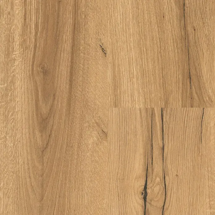 Parador Laminatmuster Basic 400 Eiche Chronicle - 200 x 194 x 8 mm, Landhausdiele - Nahaufnahme von hellem Eichenparkett mit Maserung. Das robuste Holzmuster verleiht jedem Raum Wärme und natürliche Eleganz.