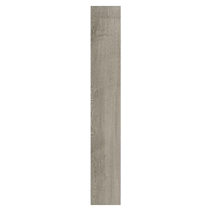 Parador Laminatmuster Basic 400 Eiche lichtgrau - 200 x 194 x 8 mm, Landhausdiele - Graubraune Holzdiele mit ausgeprägter natürlicher Maserung.