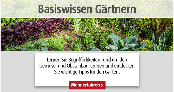 Basiswissen Garten