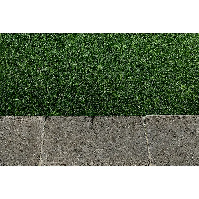 Diephaus Mähstein Flex - 24 x 12 x 4 cm, Grau, Beton - Nahaufnahme von Rasen und Betonsteinen, die eine natürliche und robuste Ästhetik für Außenbereiche bieten.