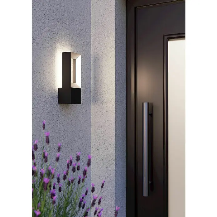 Eglo Riforano Aplique exterior LED - 10 W, L x An x Al: 8,5 x 11 x 29 cm, Negro, IP44 - Moderna lámpara de pared exterior negra ilumina una zona de entrada con flores moradas.