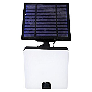LED vanjski zidni reflektor sa senzorom (10 W, Boja svjetla: Hladna bijela, IP44)