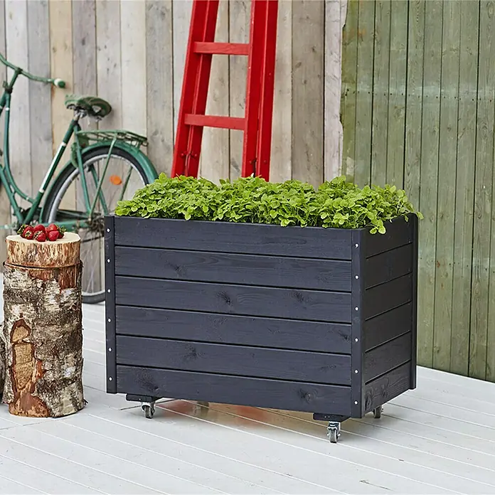 Plus Pflanzkasten - Mit Rollen, L x B x H: 88 x 48 x 66 cm - Bild eines dunklen Pflanzkastens auf Rädern, gefüllt mit Grünpflanzen, vor einer Holzwand mit Leiter und Fahrrad.